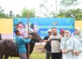 Kapolres Bartim AKBP Eddy Santoso, bersama keluarga menyerahlan sapi kurban ke panitia penyembelihan, Rabu (27/5/2026).
