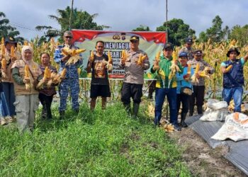 Kapolsek Pematang Karau, IPDA Riardo Hutahean, bersama BPP dan petani panen jagung, Jumat (29/5/2026).