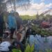 Rumah dan Gudang di Kelurahan Sebangau, yang sudah hangus terbakar, Sabtu (30/5/2026). (Ist)