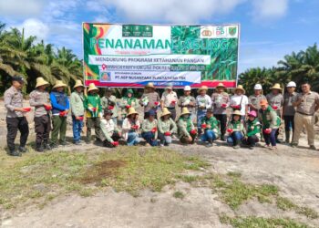 Penanaman jagung di lahan PT AEP Nusantara Plantations, di wilayah BBE - 1 di Desa Dayu Karusen Janang, Kamis (4/6/2026).