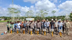 Penanaman jagung pakan di lahan PT AEP Nusantara Tbk, di BBE - 2 Desa Simpang Bingkuang Kecamatan Paku, Kamis (28/5/2026).