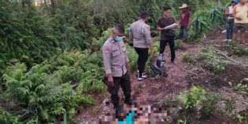 Penemuan jenazah Sutarman (51), di kebun buah naga Kelamangan, Minggu (15/6/2026).