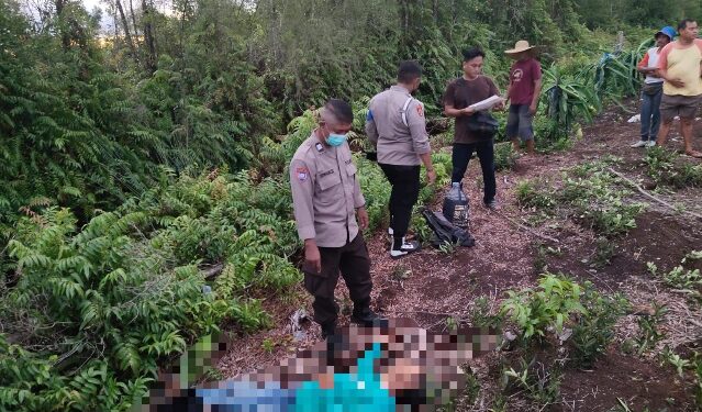Penemuan jenazah Sutarman (51), di kebun buah naga Kelamangan, Minggu (15/6/2026).