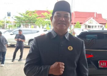Anggota DPRD Murung Raya, Bebie.