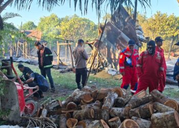 Kebakaran yang menghanguskan kandang ayam di Kelurahan Menteng, Palangka Raya, Sabtu (27/6/2026) dini hari.