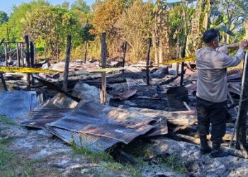 Personel Polsek Bukit Batu yang melaksanakan olah TKP di lokasi kandang ayam.