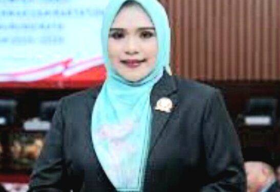 Wakil Ketua I DPRD Kabupaten Murung Raya, Dina Maulidah.