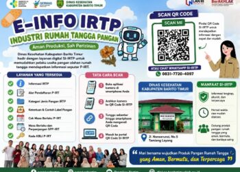 Infografis.