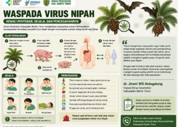 Infografis.
