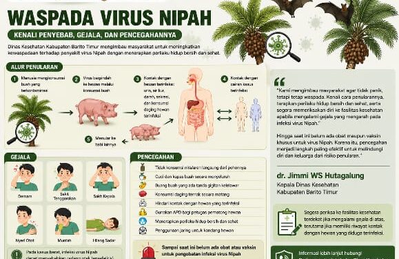 Infografis.