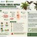 Infografis.