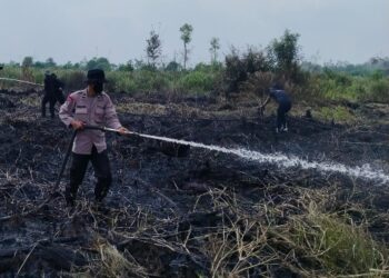 Pemadaman karhutla yang dilakukan Satgas Aman Nusa II Polresta Palangka Raya di Danau Rangas, Sabtu (25/7/2026). (ist)