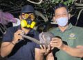 Kepala BKSDA Resor Sampit, Muriansyah bersama petugas saat menunjukan trenggiling yang berhasil diselamatkan dari karhutla. (ist)