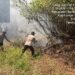 Personel polisi yang berjibaku bersama warga memadamkan api yang muncul di wilayah Desa Tampu Langit, Kecamatan Paju Epat, Senin (3/8/2026). (ist)