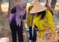 Waket I DPRD Murung Raya, Dina Maulidah, yang terlibat langsung mengolah kuliner tradisional di Lomba Festival Jajanan Tempo Dulu di Festival Budaya Tira Tangka Balang (TTB) 2026, Kamis (6/8/2026).