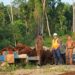 Bupati Barito Utara, H. Shalahuddin, mengecek progres pembangunan tiga proyek strategis, Selasa (11/8/2026).