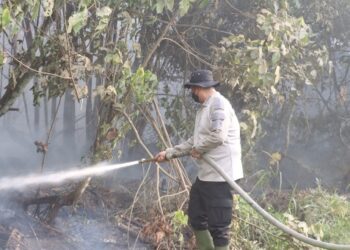 Kapolres Barito Timur AKBP Eddy Santoso, S.I.K., M.H., turun langsung berjibaku memadamkan kebakaran hutan dan lahan, Sabtu (22/8/2026).