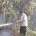 Kapolres Barito Timur AKBP Eddy Santoso, S.I.K., M.H., turun langsung berjibaku memadamkan kebakaran hutan dan lahan, Sabtu (22/8/2026).