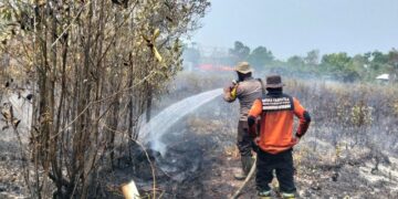 Penanganan tim gabungan terhadap api yang membakar lahan kosong di Jalan Tampung Penyang 13 dan 14, Kelurahan Palangka, Kecamatan Jekan Raya, Selasa (25/8/2026). (ist)