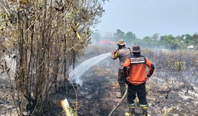Penanganan tim gabungan terhadap api yang membakar lahan kosong di Jalan Tampung Penyang 13 dan 14, Kelurahan Palangka, Kecamatan Jekan Raya, Selasa (25/8/2026). (ist)
