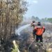 Penanganan tim gabungan terhadap api yang membakar lahan kosong di Jalan Tampung Penyang 13 dan 14, Kelurahan Palangka, Kecamatan Jekan Raya, Selasa (25/8/2026). (ist)