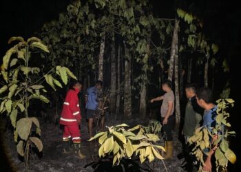 Pascakebakaran lahan di Baruyan tim gabungan kembali melakukan penyisiran memastikan tidak adanya api, Sabtu (29/8/2026).
