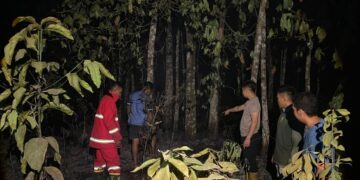Pascakebakaran lahan di Baruyan tim gabungan kembali melakukan penyisiran memastikan tidak adanya api, Sabtu (29/8/2026).