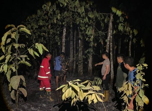 Pascakebakaran lahan di Baruyan tim gabungan kembali melakukan penyisiran memastikan tidak adanya api, Sabtu (29/8/2026).