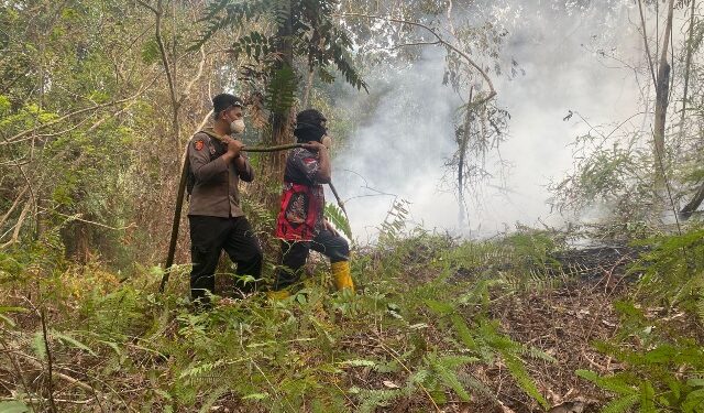 Penanganan kebakaran lahan RT 5 Desa Dayu, Kecamatan Karusen Janang, Sabtu (29/8/2026). (ist)
