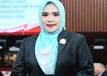 Wakil Ketua I DPRD Kabupaten Murung Raya, Dina Maulidah