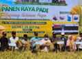 Ketua DPRD Kabupaten Kapuas Ardiansah bersama anggota mengikuti panen raya padi di Terusan Mulya, pada Sabtu (8/7/2026). (ist)