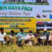 Ketua DPRD Kabupaten Kapuas Ardiansah bersama anggota mengikuti panen raya padi di Terusan Mulya, pada Sabtu (8/7/2026). (ist)
