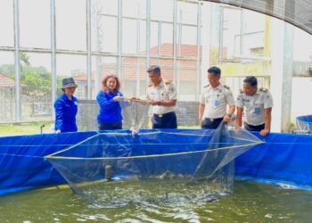 Panen ikan patin warga binaan yang dilaksanakan Rutan Tamiang Layang, Selasa (1/9/2026). (ist)