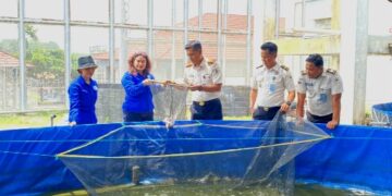 Panen ikan patin warga binaan yang dilaksanakan Rutan Tamiang Layang, Selasa (1/9/2026). (ist)