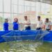 Panen ikan patin warga binaan yang dilaksanakan Rutan Tamiang Layang, Selasa (1/9/2026). (ist)