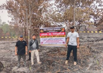Unit Reskrim Polsek Rakumpit memasang police line di areal yang sebelumnya terbakar di Jalan Tumbang Talaken Km 78, Kelurahan Bukit Sua, Kecamatan Rakumpit, Rabu (2/9/2026).