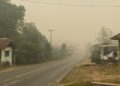 Kondisi lengang dan berkabut di salah perlintasan jalan Kabupaten Barito Timur.