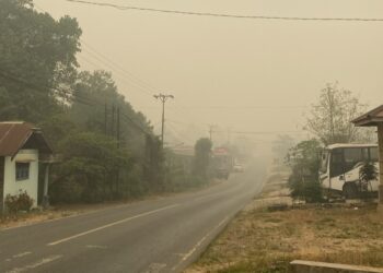 Kondisi lengang dan berkabut di salah perlintasan jalan Kabupaten Barito Timur.