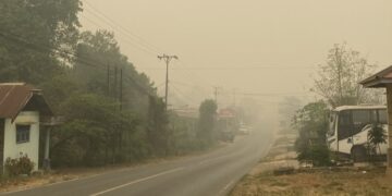 Kondisi lengang dan berkabut di salah perlintasan jalan Kabupaten Barito Timur.