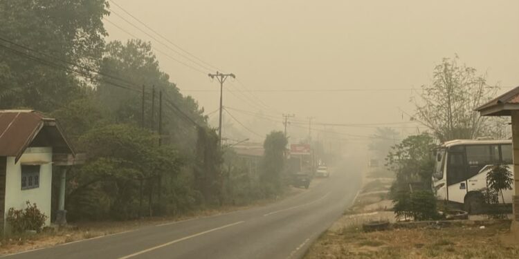 Kondisi lengang dan berkabut di salah perlintasan jalan Kabupaten Barito Timur.
