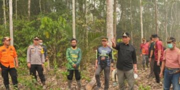 Bupati Barito Utara, H. Shalahuddin, saat meninjau langsung penanganan karhutla di Kecamatan Teweh Selatan, Minggu (20/9/2026).