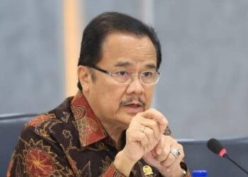 Anggota DPD RI asal Kalteng, Agustin Teras Narang.